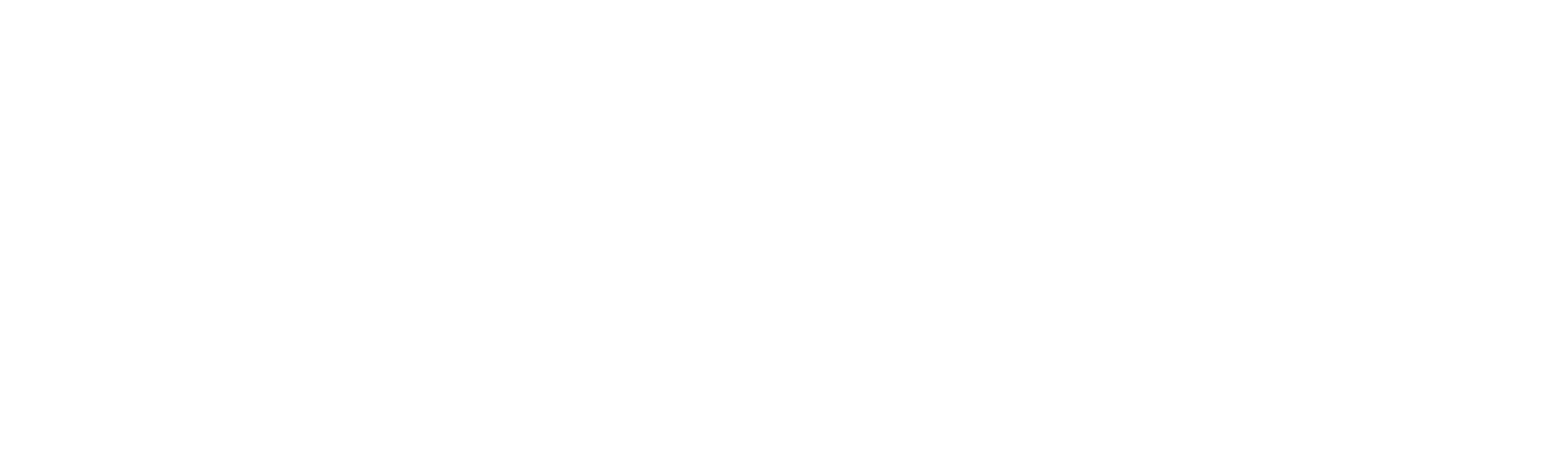 n.s.t pictures - CINEMATIC WEDDING FILMS